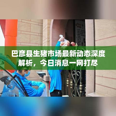 巴彥縣生豬市場最新動態(tài)深度解析，今日消息一網(wǎng)打盡