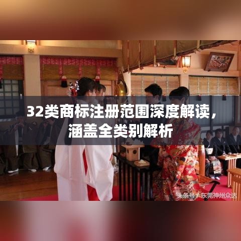 32類商標(biāo)注冊(cè)范圍深度解讀，涵蓋全類別解析