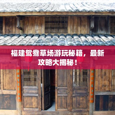 福建鴛鴦草場游玩秘籍，最新攻略大揭秘！