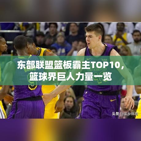 東部聯盟籃板霸主TOP10，籃球界巨人力量一覽