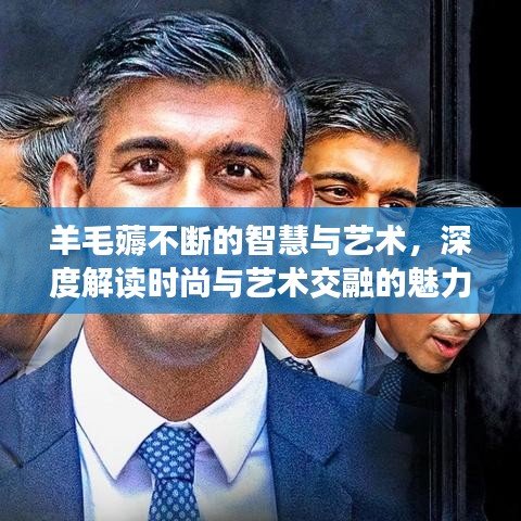 羊毛薅不斷的智慧與藝術(shù)，深度解讀時(shí)尚與藝術(shù)交融的魅力