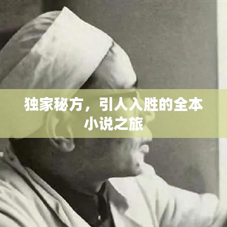獨(dú)家秘方，引人入勝的全本小說之旅