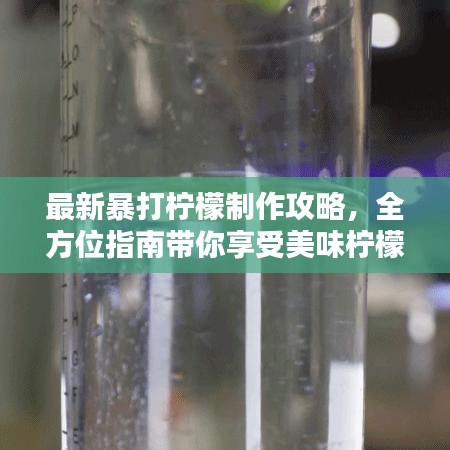 最新暴打檸檬制作攻略，全方位指南帶你享受美味檸檬飲品