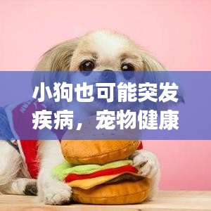 小狗也可能突發(fā)疾病，寵物健康不容忽視的重要性