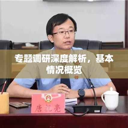 專題調(diào)研深度解析，基本情況概覽