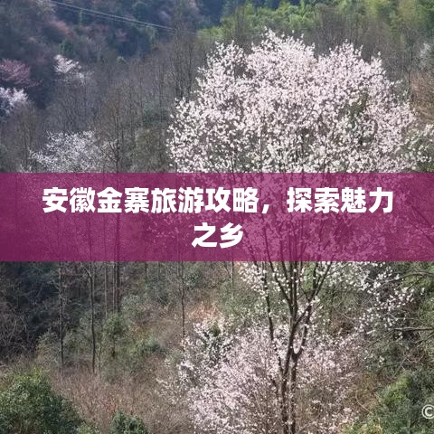 安徽金寨旅游攻略，探索魅力之鄉(xiāng)