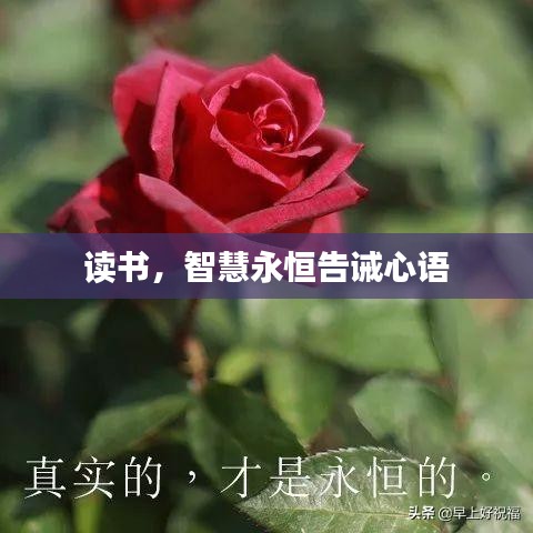臼灶生蛙 第2頁