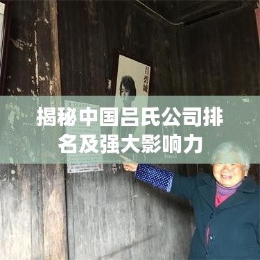 揭秘中國(guó)呂氏公司排名及強(qiáng)大影響力