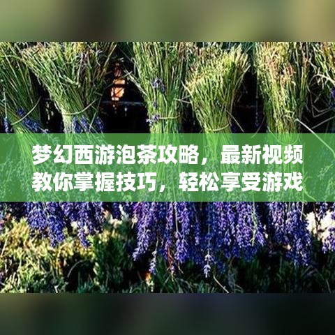 夢幻西游泡茶攻略，最新視頻教你掌握技巧，輕松享受游戲樂趣！
