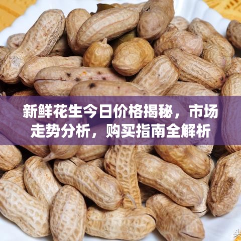 新鮮花生今日價格揭秘，市場走勢分析，購買指南全解析