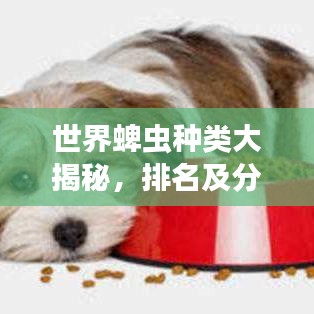 橘虞初夢 第2頁