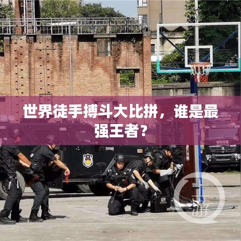 世界徒手搏斗大比拼，誰是最強(qiáng)王者？