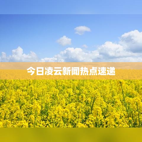 今日凌云新聞熱點(diǎn)速遞