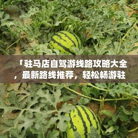 「駐馬店自駕游線路攻略大全，最新路線推薦，輕松暢游駐馬店！」