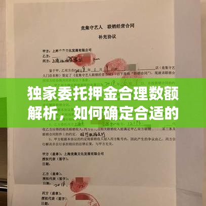 獨(dú)家委托押金合理數(shù)額解析，如何確定合適的押金標(biāo)準(zhǔn)？