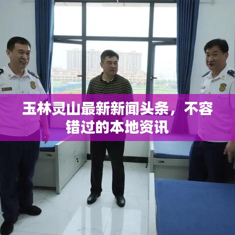 玉林靈山最新新聞頭條，不容錯過的本地資訊