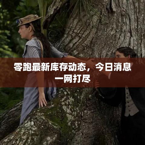 零跑最新庫(kù)存動(dòng)態(tài)，今日消息一網(wǎng)打盡