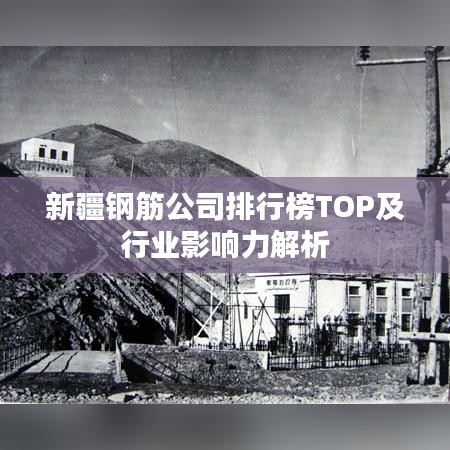 新疆鋼筋公司排行榜TOP及行業(yè)影響力解析