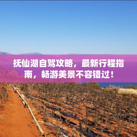 撫仙湖自駕攻略，最新行程指南，暢游美景不容錯(cuò)過！