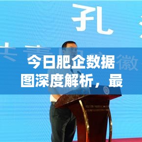今日肥企數(shù)據(jù)圖深度解析，最新消息一覽