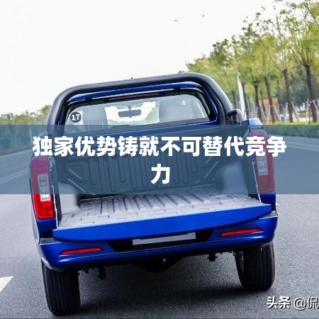 獨(dú)家優(yōu)勢鑄就不可替代競爭力