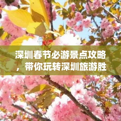 深圳春節(jié)必游景點攻略，帶你玩轉(zhuǎn)深圳旅游勝地！