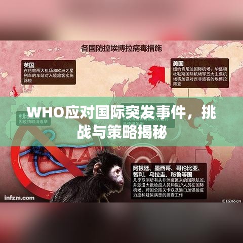 WHO應(yīng)對(duì)國際突發(fā)事件，挑戰(zhàn)與策略揭秘