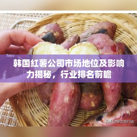 韓國(guó)紅薯公司市場(chǎng)地位及影響力揭秘，行業(yè)排名前瞻