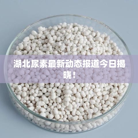 湖北尿素最新動態(tài)報道今日揭曉！