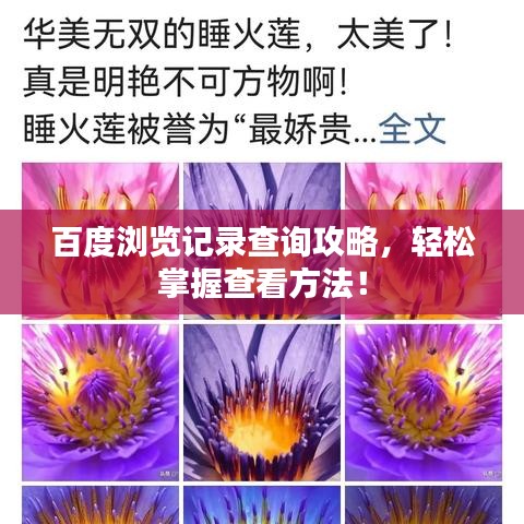 百度瀏覽記錄查詢攻略，輕松掌握查看方法！