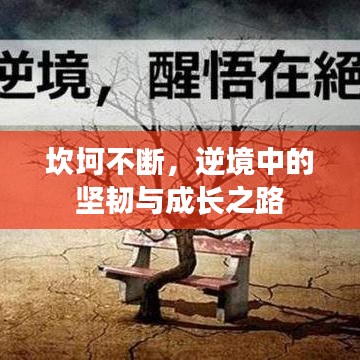 坎坷不斷，逆境中的堅(jiān)韌與成長之路