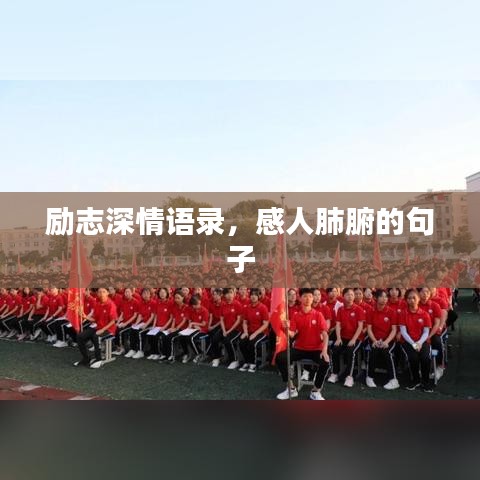 勵志深情語錄，感人肺腑的句子