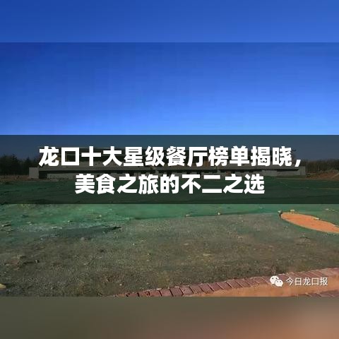 龍口十大星級(jí)餐廳榜單揭曉，美食之旅的不二之選