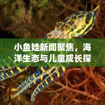 小魚娃新聞聚焦，海洋生態(tài)與兒童成長探索