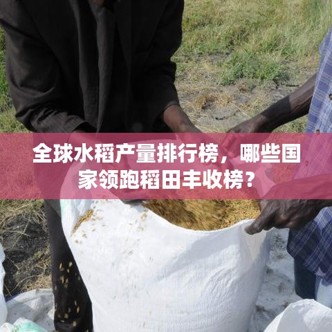 全球水稻產量排行榜，哪些國家領跑稻田豐收榜？