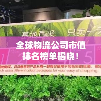 全球物流公司市值排名榜單揭曉！
