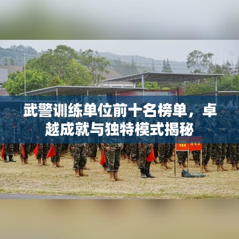 武警訓(xùn)練單位前十名榜單，卓越成就與獨(dú)特模式揭秘