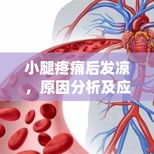 小腿疼痛后發(fā)涼，原因分析及應(yīng)對方法