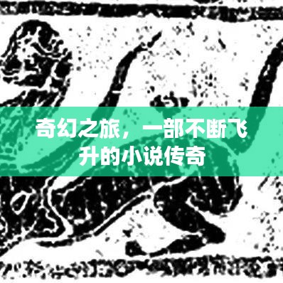 奇幻之旅，一部不斷飛升的小說傳奇