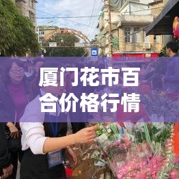 廈門花市百合價格行情實時更新，最新報道