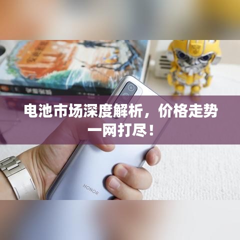電池市場深度解析，價格走勢一網(wǎng)打盡！