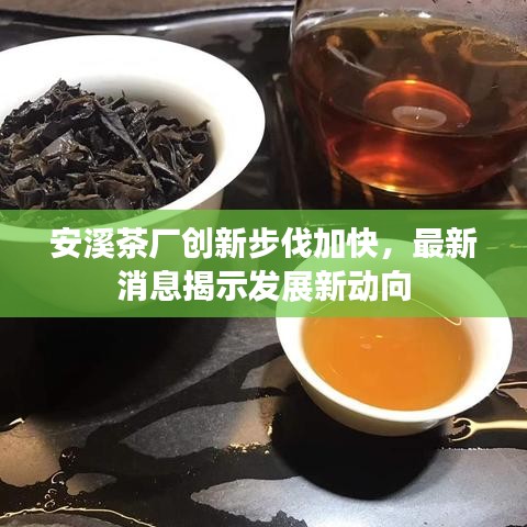 安溪茶廠創(chuàng)新步伐加快，最新消息揭示發(fā)展新動向