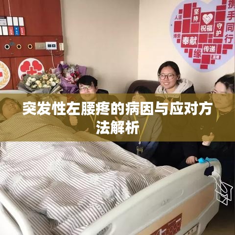 突發(fā)性左腰疼的病因與應(yīng)對(duì)方法解析