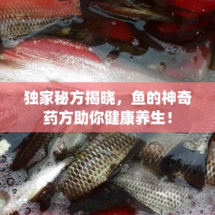 熊經(jīng)鳥申 第2頁