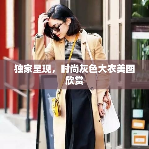 獨家呈現(xiàn)，時尚灰色大衣美圖欣賞