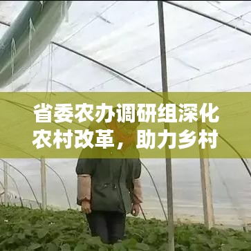 省委農(nóng)辦調(diào)研組深化農(nóng)村改革，助力鄉(xiāng)村振興新篇章開啟
