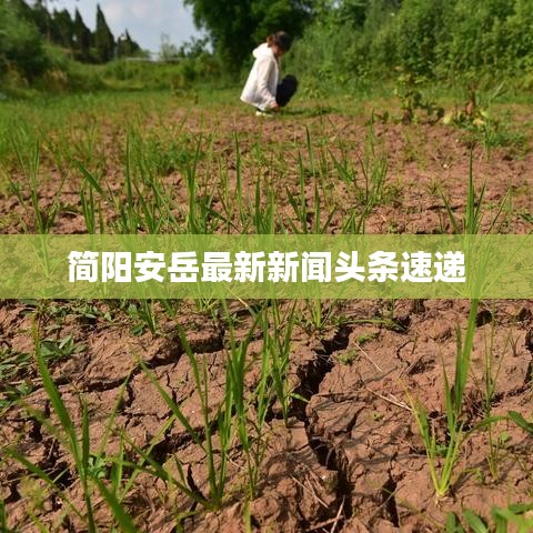 簡陽安岳最新新聞頭條速遞