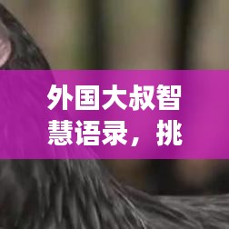 外國(guó)大叔智慧語(yǔ)錄，挑戰(zhàn)與成功的勵(lì)志箴言