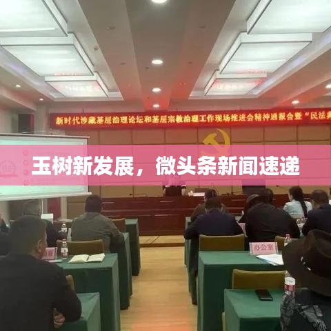 玉樹新發(fā)展，微頭條新聞速遞