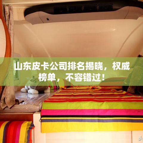 山東皮卡公司排名揭曉，權(quán)威榜單，不容錯過！